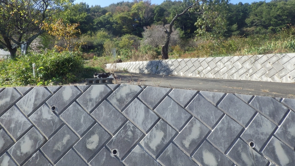 f:id:kawajima-zx14:20181103223034j:plain f:id:kawajima-zx14:20181103223034j:plain