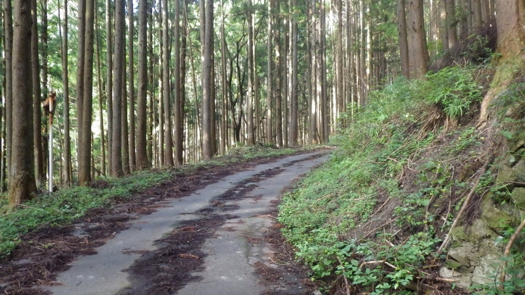 f:id:kawajima-zx14:20181103231608j:plain f:id:kawajima-zx14:20181103231608j:plain