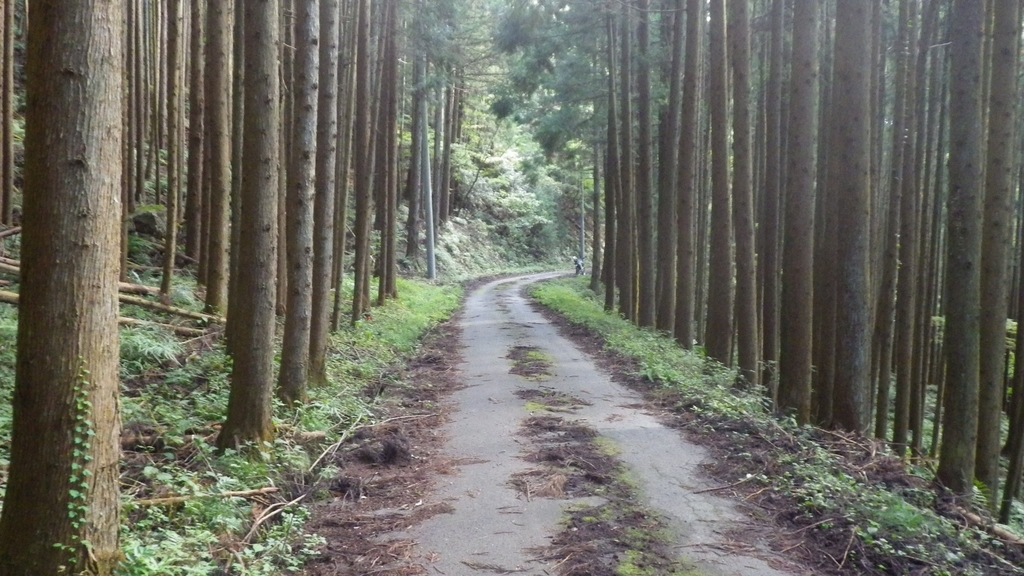 f:id:kawajima-zx14:20181103231635j:plain f:id:kawajima-zx14:20181103231635j:plain