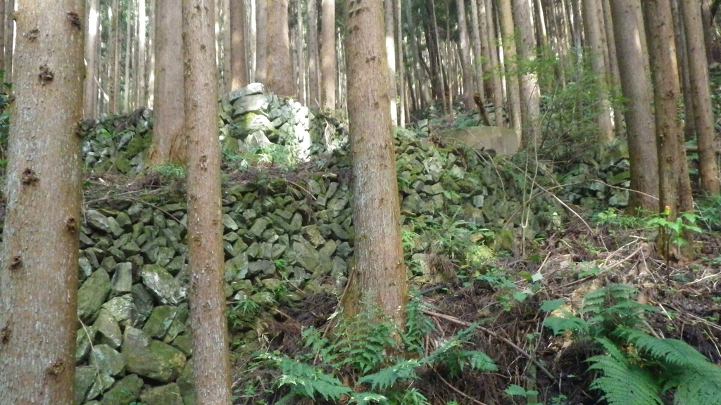 f:id:kawajima-zx14:20181103231657j:plain f:id:kawajima-zx14:20181103231657j:plain