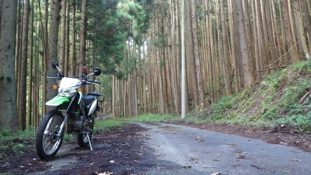 f:id:kawajima-zx14:20181103233037j:plain f:id:kawajima-zx14:20181103233037j:plain