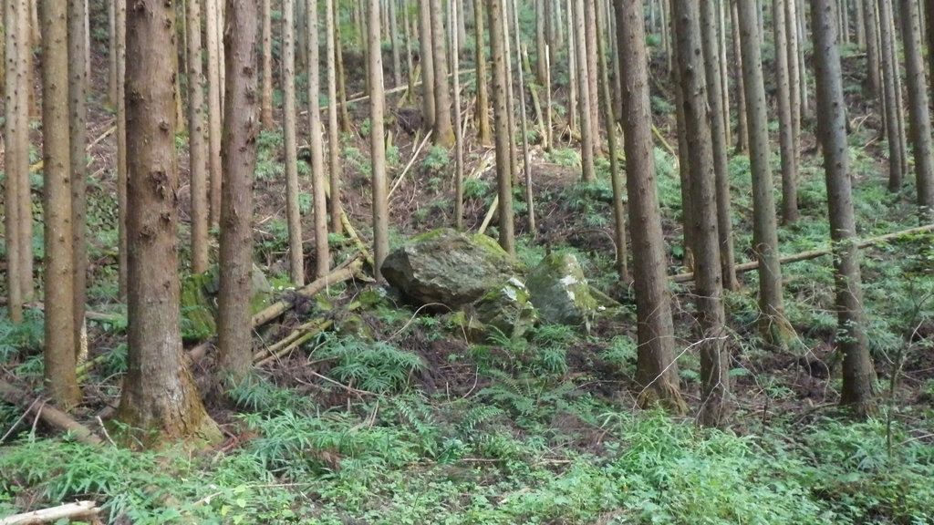 f:id:kawajima-zx14:20181103233125j:plain f:id:kawajima-zx14:20181103233125j:plain