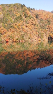 f:id:kawakudari:20101127111434j:image
