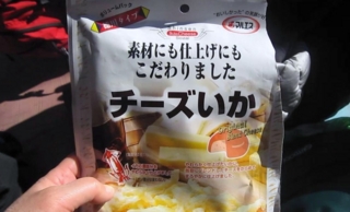 f:id:kawakudari:20101129215856j:image
