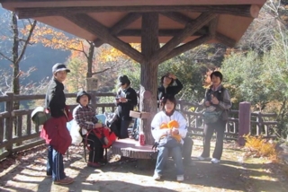 f:id:kawakudari:20101129220029j:image
