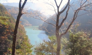 f:id:kawakudari:20101129220145j:image