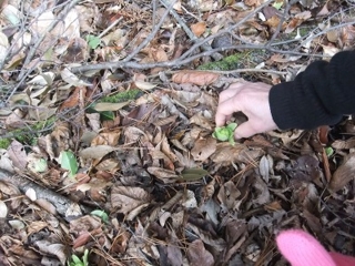 f:id:kawakudari:20110305172437j:image