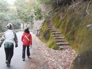 f:id:kawakudari:20110305182123j:image