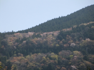 f:id:kawakudari:20110416100809j:image:w360:left