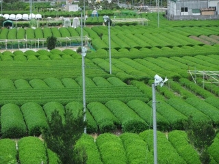 f:id:kawakudari:20110529214119j:image:w360