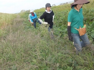 f:id:kawakudari:20111011220052j:image:w360:left