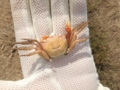 f:id:kawakudari:20111018113346j:image:medium:left
