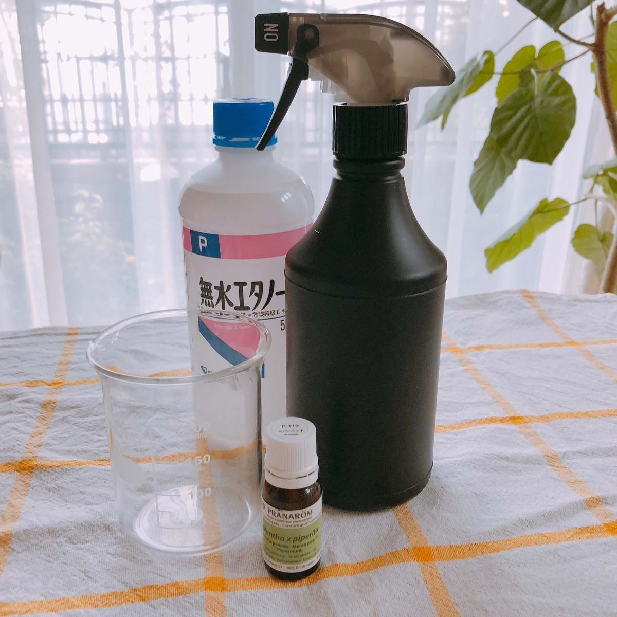 f:id:kawalarimar:20190517101151j:plain