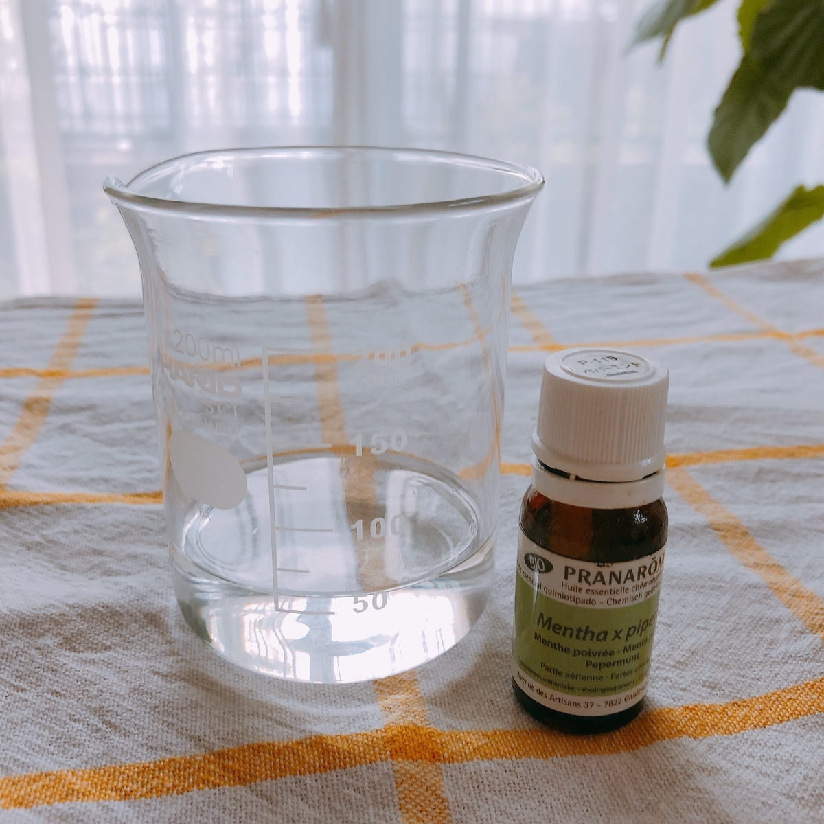 f:id:kawalarimar:20190517101250j:plain