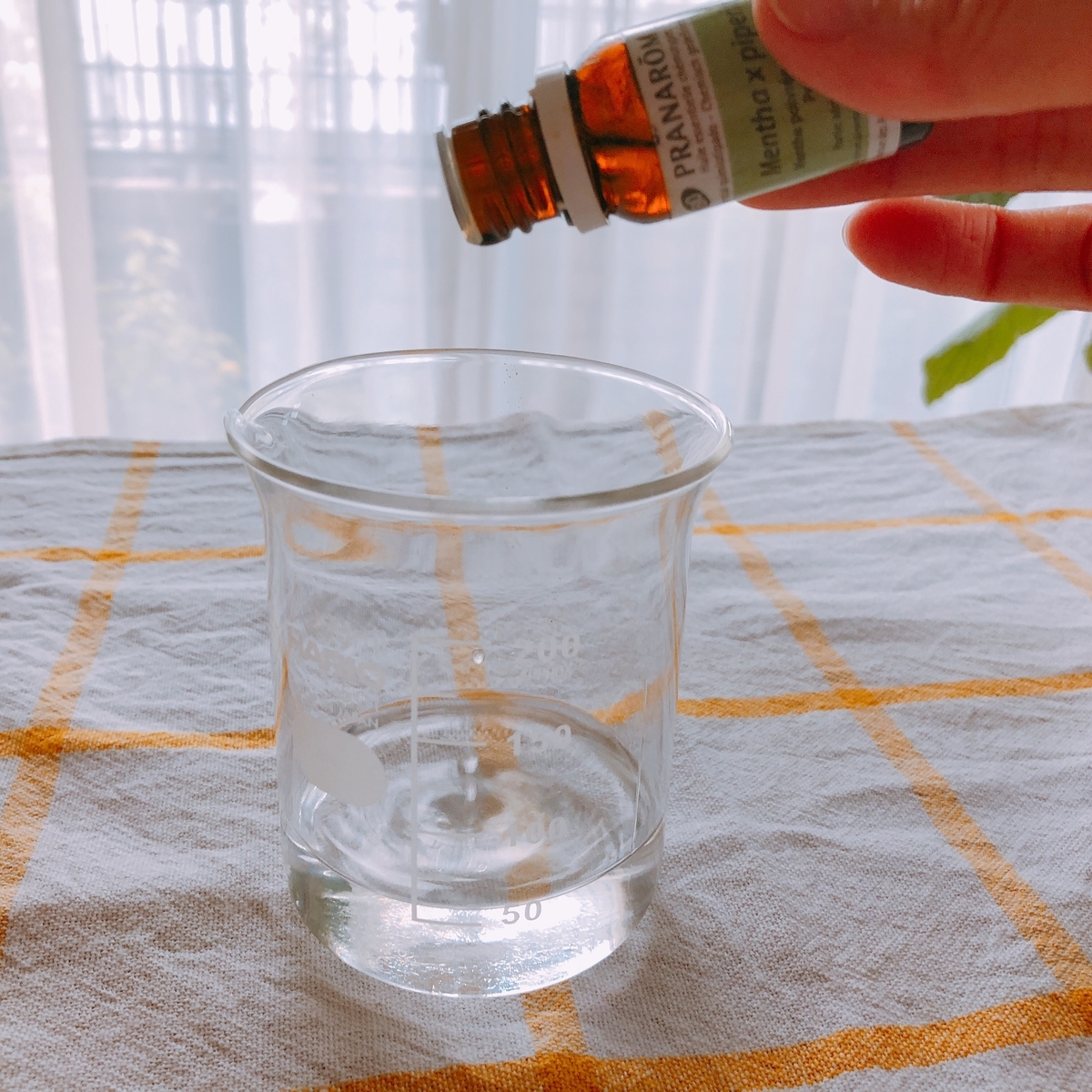 f:id:kawalarimar:20190517101327j:plain