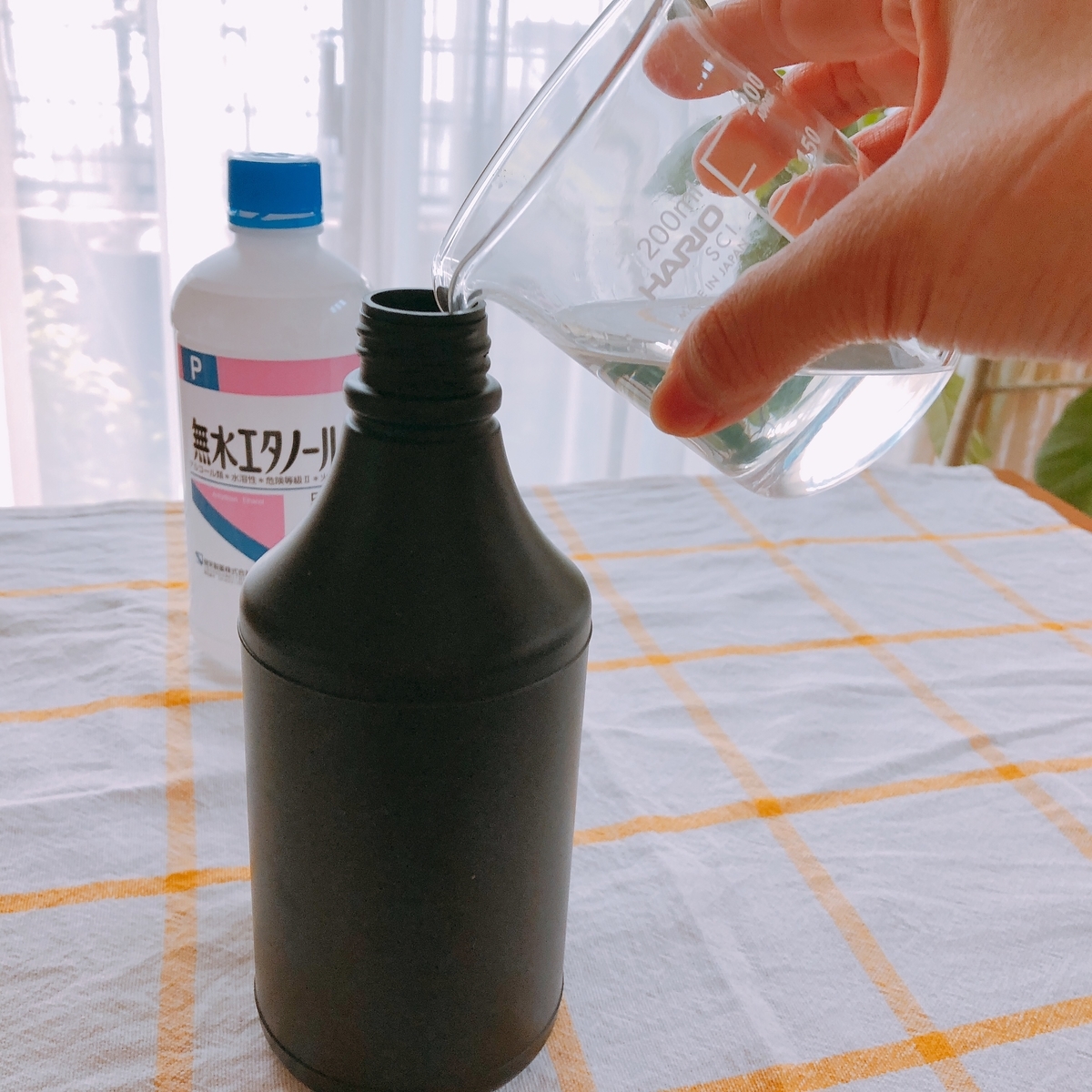 f:id:kawalarimar:20190517101421j:plain