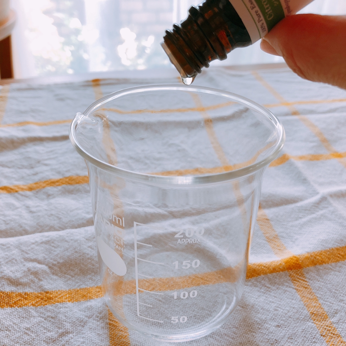 f:id:kawalarimar:20190626095513j:plain