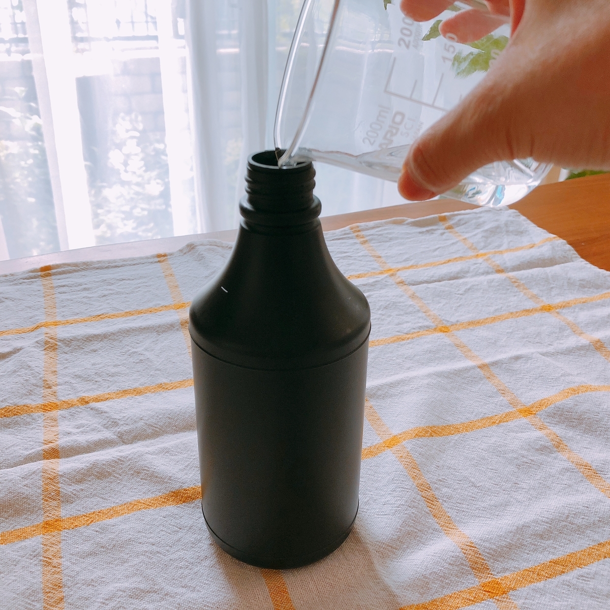 f:id:kawalarimar:20190626095730j:plain