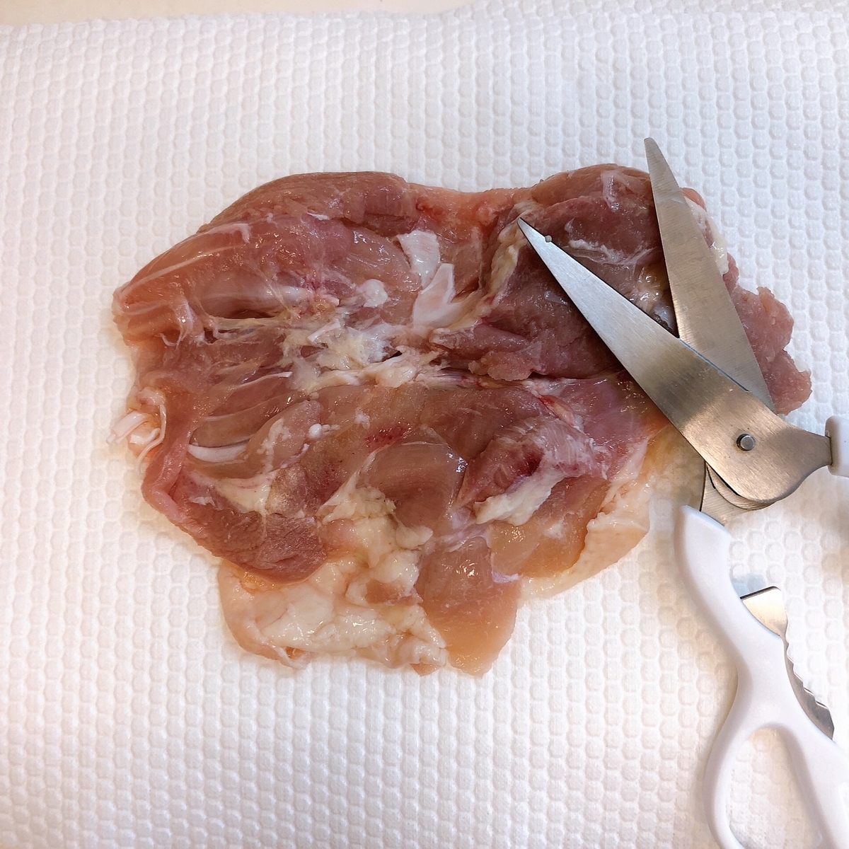 f:id:kawalarimar:20190825084011j:plain