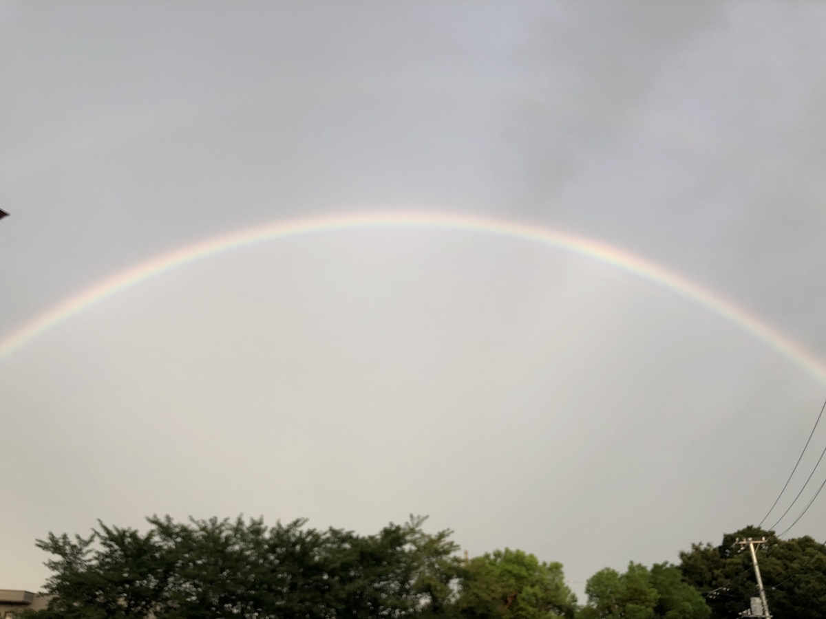 f:id:kawalarimar:20190831143529j:plain f:id:kawalarimar:20190831143529j:plain