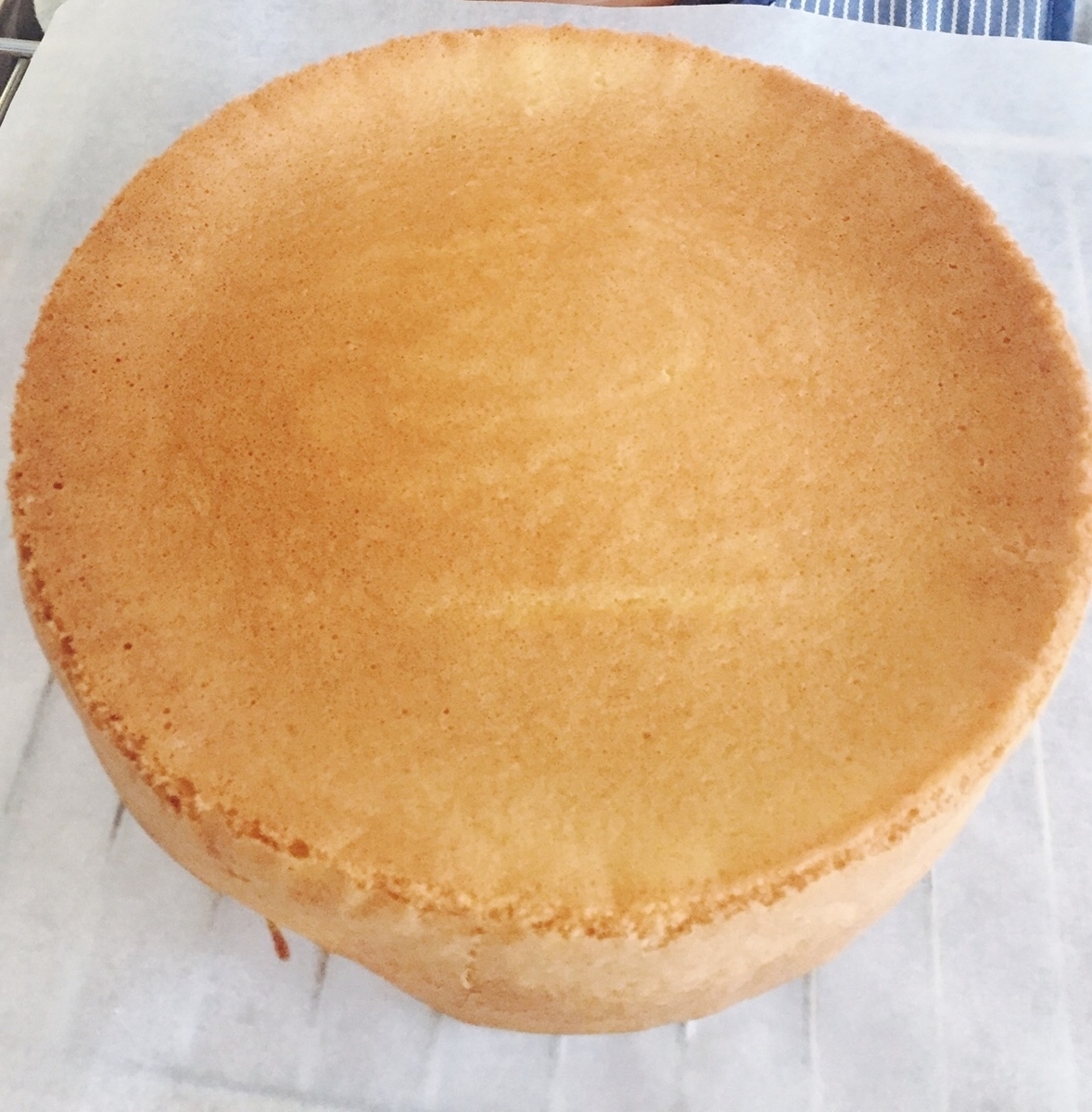 f:id:kawalarimar:20210626145559j:plain