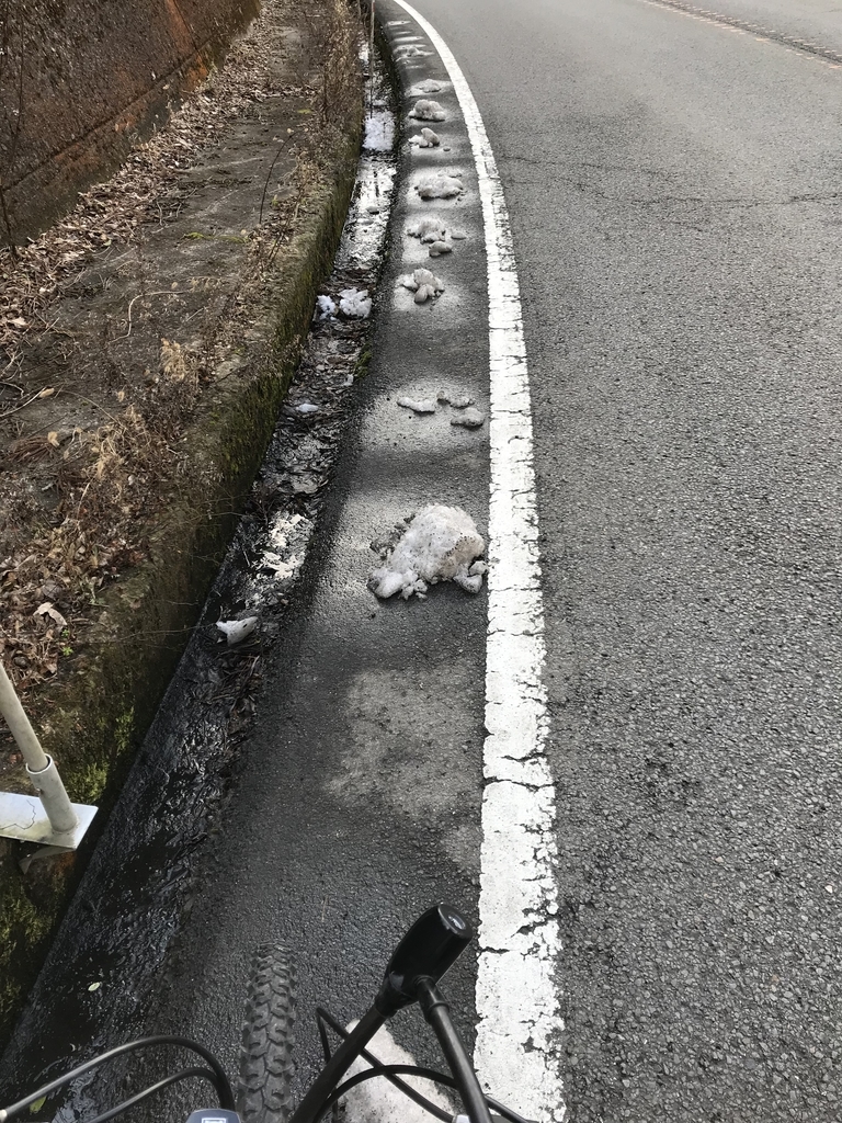 f:id:kawamana1988:20190129090410j:plain f:id:kawamana1988:20190129090410j:plain