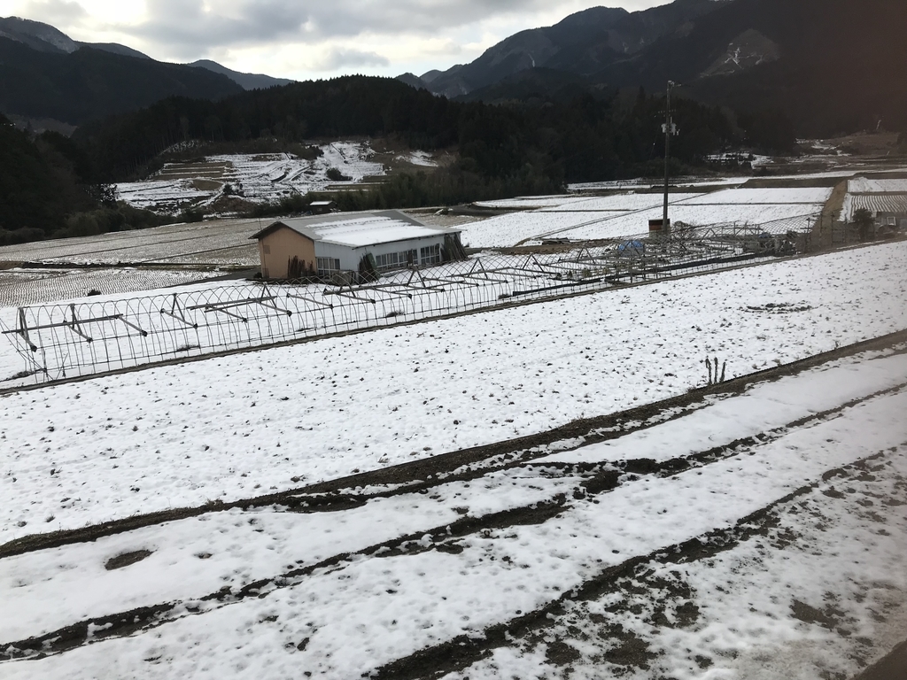 f:id:kawamana1988:20190129090822j:plain f:id:kawamana1988:20190129090822j:plain