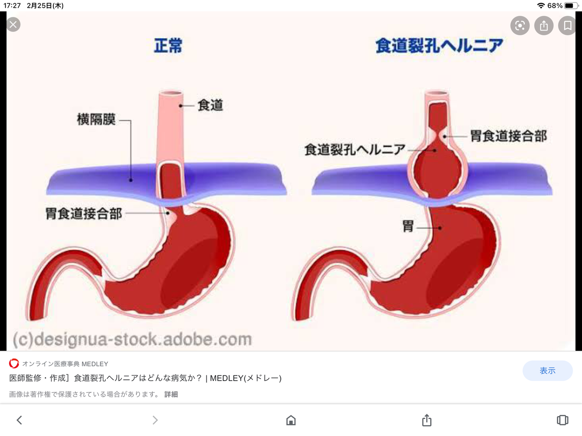f:id:kawamuraseitai:20210225172809p:plain