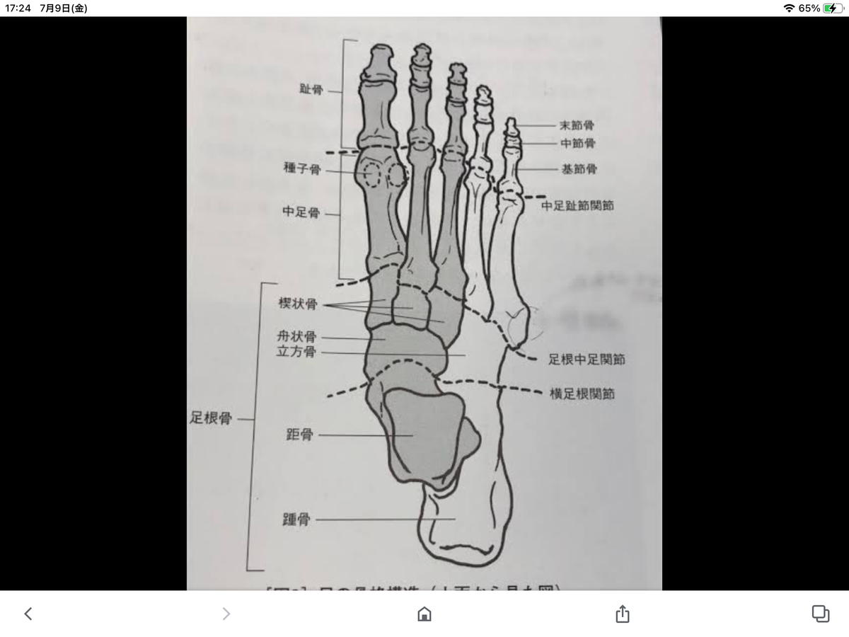 f:id:kawamuraseitai:20210709172547p:plain