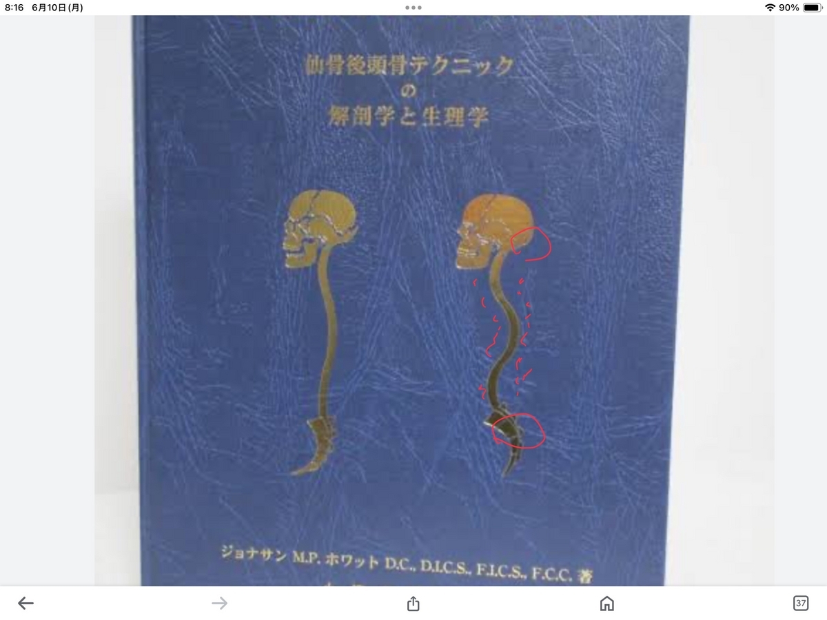仙骨後頭骨テクニックの解剖学と生理学 CHIROPRACTIC 仙骨後頭骨テクニックの解剖学と生理学