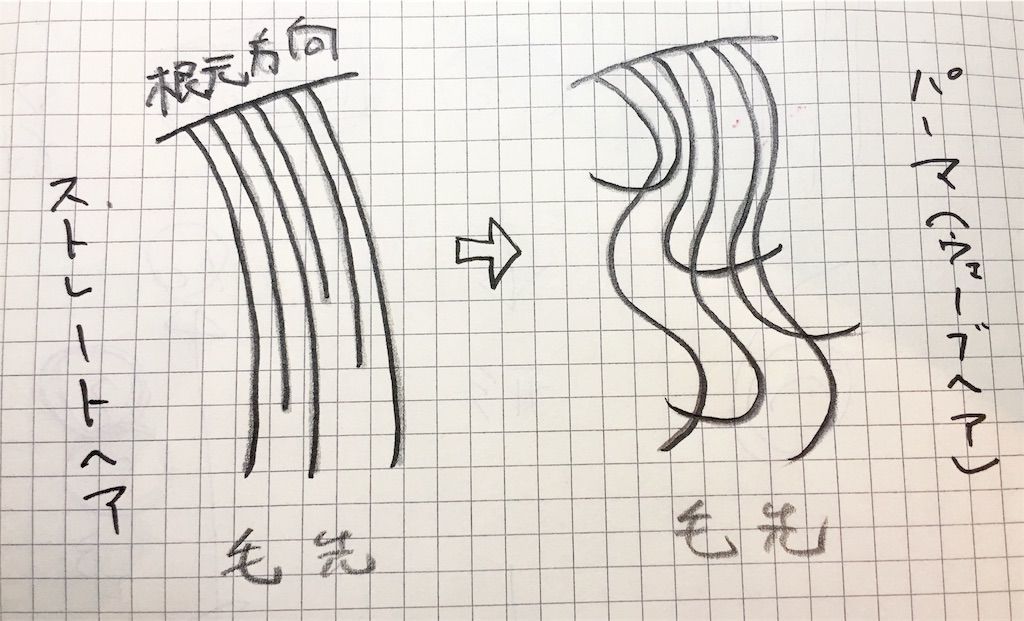 f:id:kawanabehiroki:20181212112935j:image f:id:kawanabehiroki:20181212112935j:image
