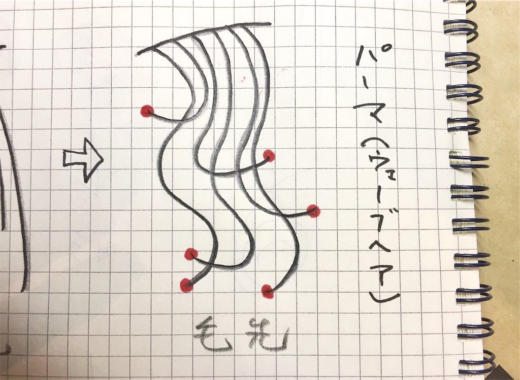 f:id:kawanabehiroki:20181212113440j:image f:id:kawanabehiroki:20181212113440j:image