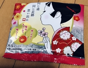 f:id:kawanaiseikatsu:20190204203926j:plain f:id:kawanaiseikatsu:20190204203926j:plain