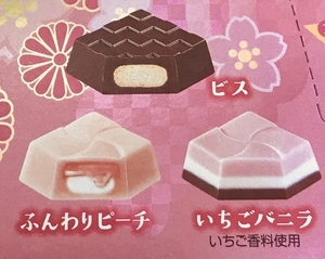 f:id:kawanaiseikatsu:20190214203401j:plain f:id:kawanaiseikatsu:20190214203401j:plain