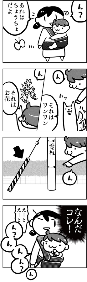 f:id:kawanaiseikatsu:20190613205946j:plain f:id:kawanaiseikatsu:20190613205946j:plain