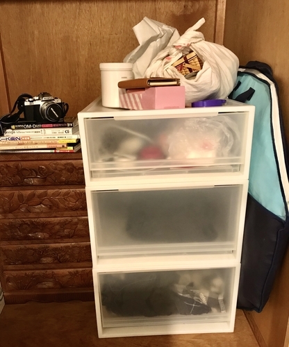 f:id:kawanaiseikatsu:20191011233359j:plain f:id:kawanaiseikatsu:20191011233359j:plain