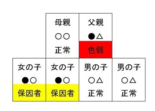 f:id:kawanaiseikatsu:20200621220443j:plain f:id:kawanaiseikatsu:20200621220443j:plain