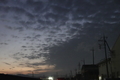 12/19（木）【山口県岩国市日の出町】　「宵」　Rx6