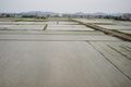 6/20（土）【愛媛県伊予市下三谷】　「田植え」　V35u