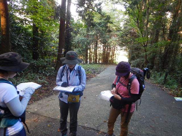 f:id:kawano1430:20181009172555j:plain