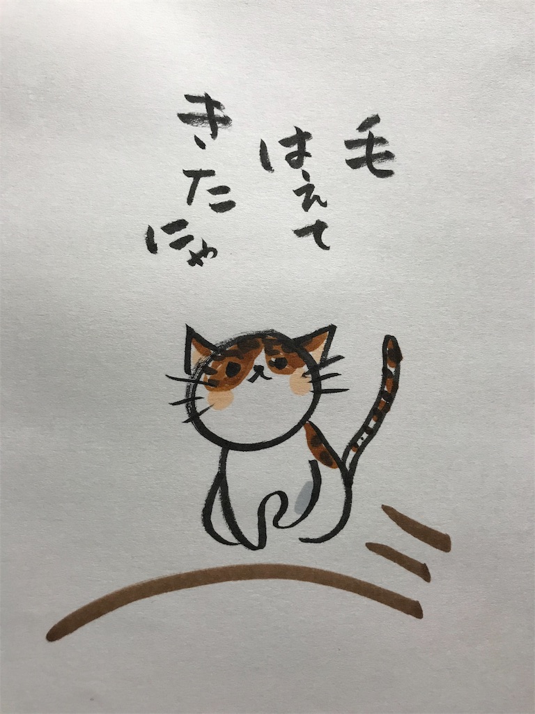 f:id:kawanonagare:20190111192218j:image f:id:kawanonagare:20190111192218j:image