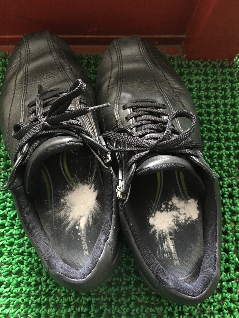 f:id:kawanouso:20181013225608j:plain f:id:kawanouso:20181013225608j:plain