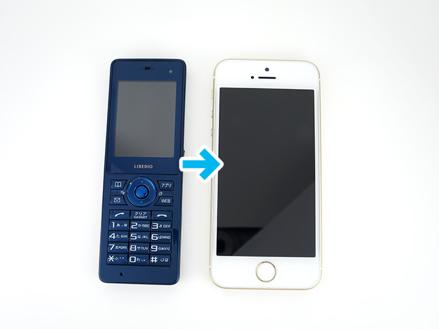 Apple iPhone SE A1723 海外版 SIMフリー