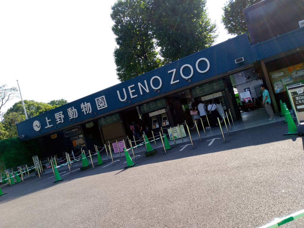 ASUS ZenFone Max Pro M1 ASUS ZenFone Max Pro M1