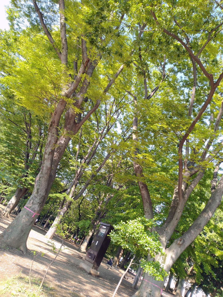 ASUS ZenFone Max Pro M1 ASUS ZenFone Max Pro M1