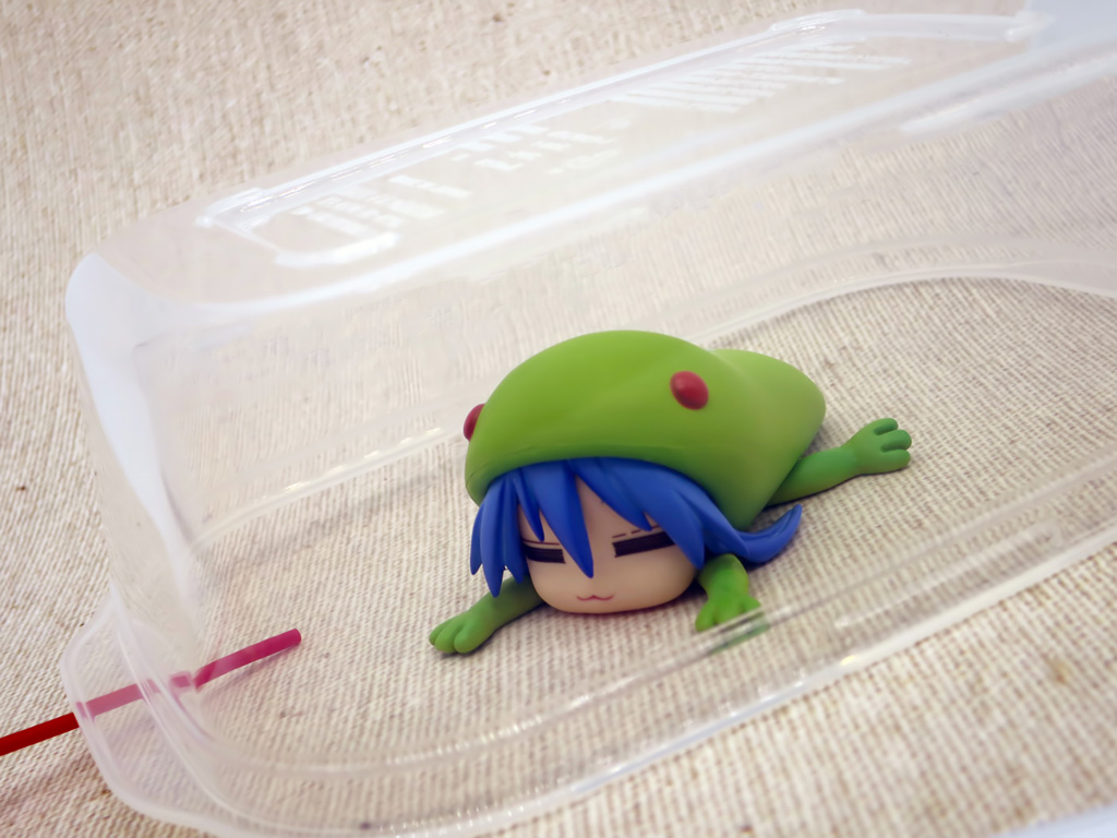 ゴキブリ捕獲方法