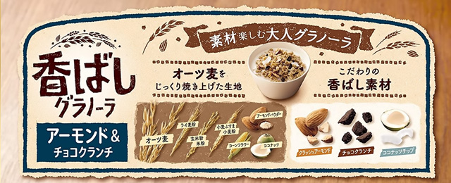 グラノラ 香ばしグラノーラアーモンド＆チョコクランチ