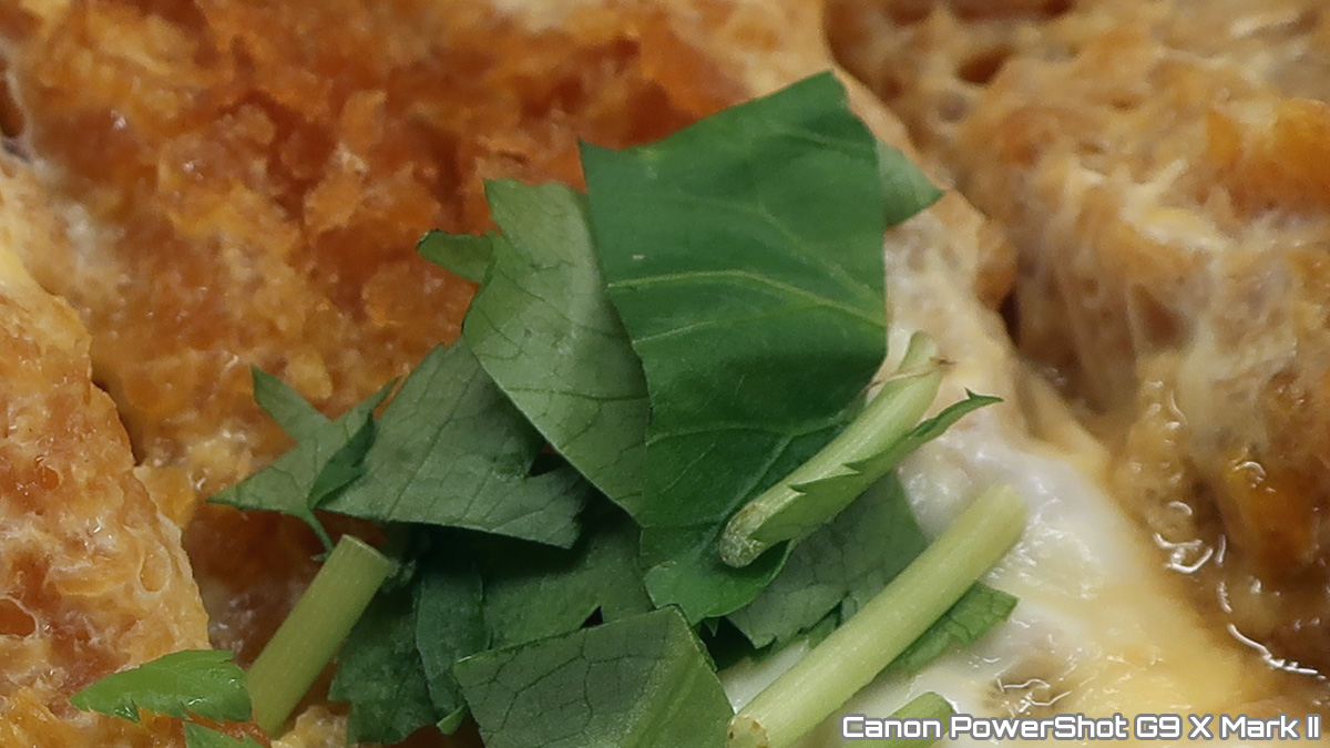 Canon PowerShot G9 X Mark II 撮影サンプル