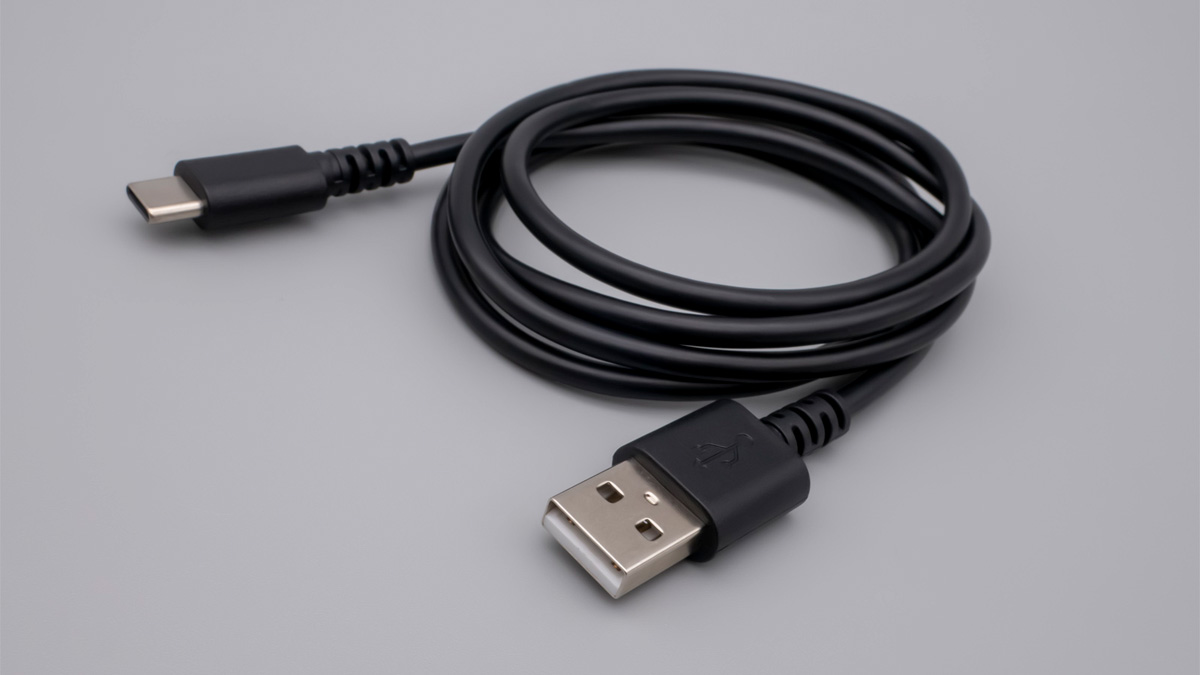 GREEN HOUSE USB-C 充電ケーブル GH-UCACA10