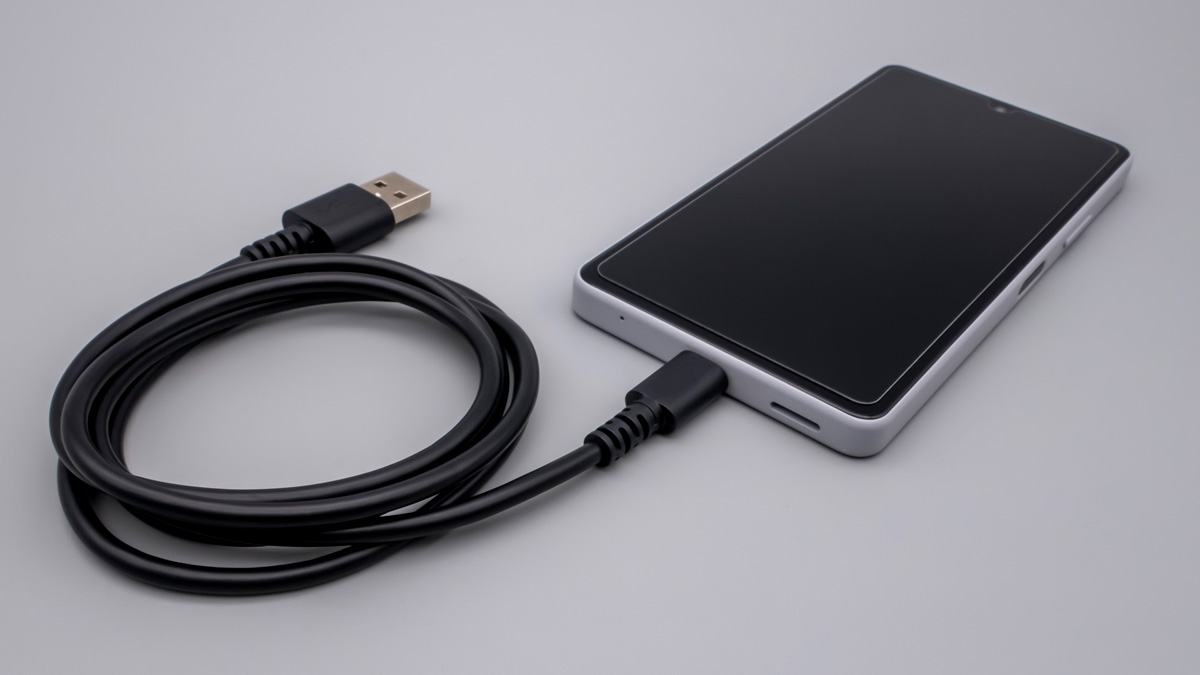 GREEN HOUSE USB-C 充電ケーブル GH-UCACA10